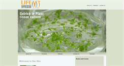 Desktop Screenshot of life-expression.com